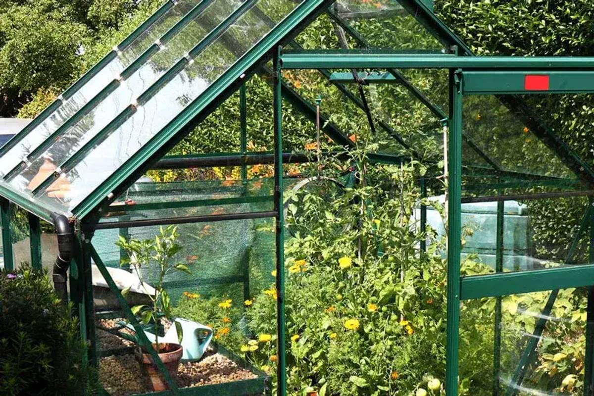Green craftsman greenhouse