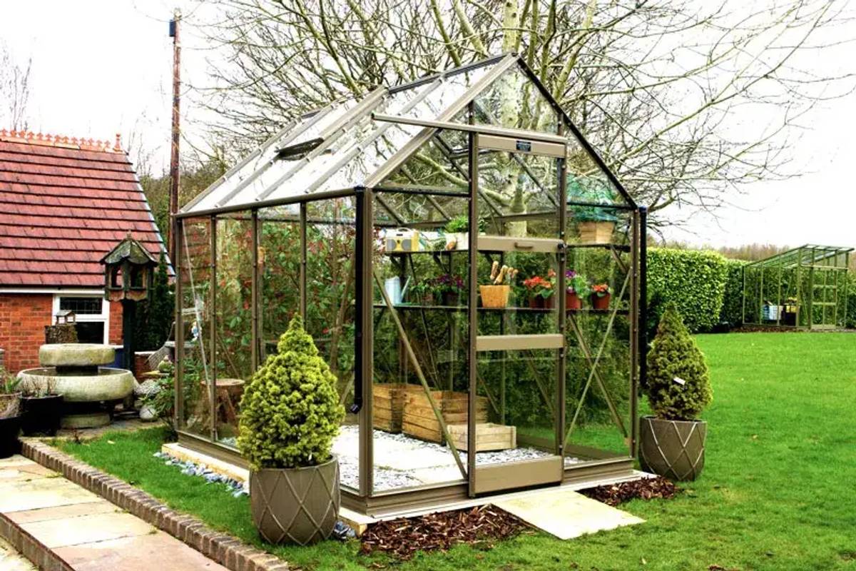 High eave greenhouse in mocha