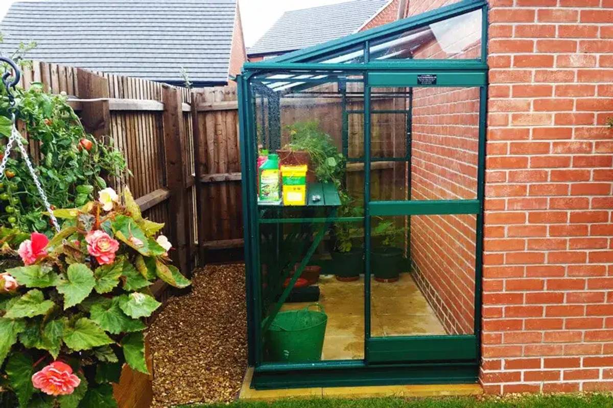 Windsor Lean to greenhouse
