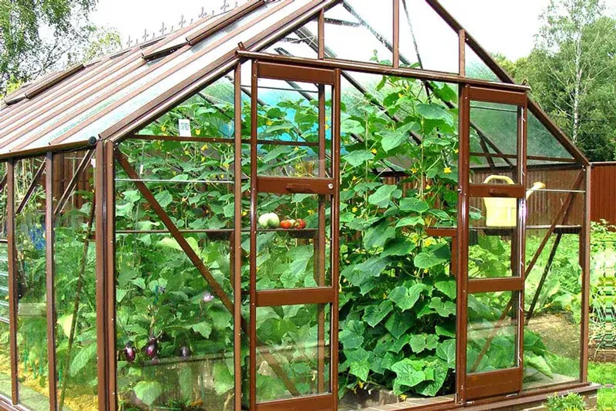 Supreme Greenhouse - Brown frame