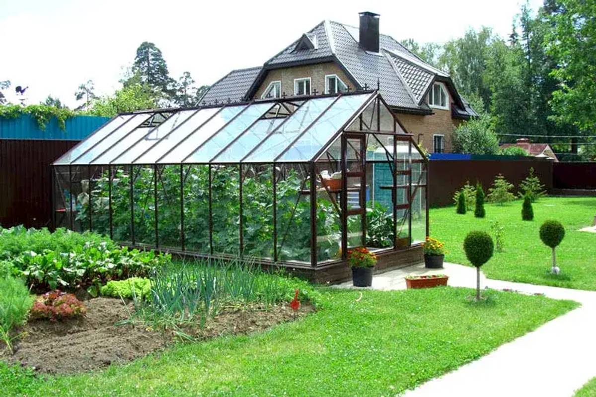 Supreme 20x10 greenhouse