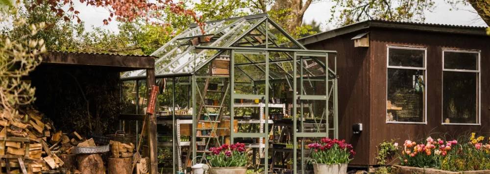 Stunning Rhino greenhouse nestled between a wood shed and an outbuilding