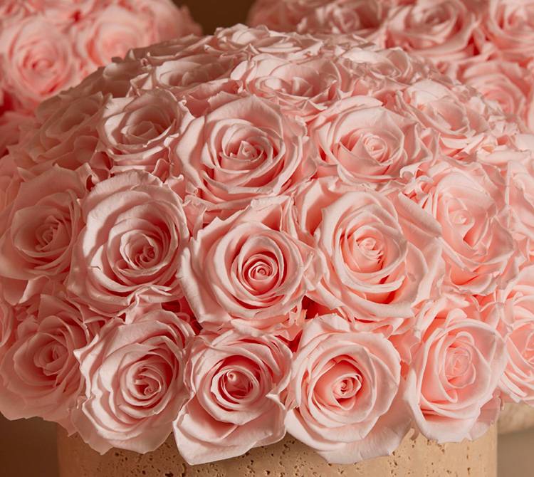 Luxury Eternity Rose Arrangements - Preserved Roses - Venus et Fleur®