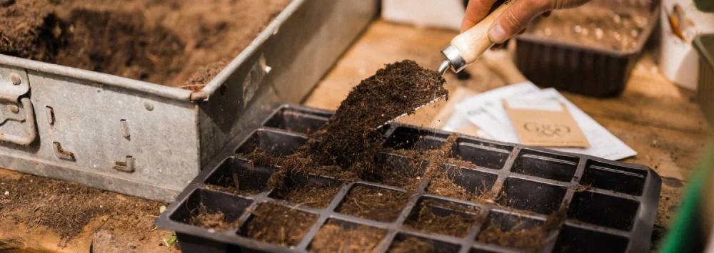 Lady filling up her seed tray with soil