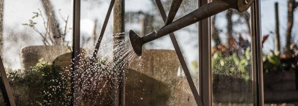 Watering seedlings inside a Rhino greenhouse