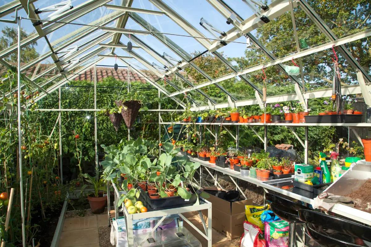 10ft Wide Rhino Greenhouses Rhino Greenhouses Direct