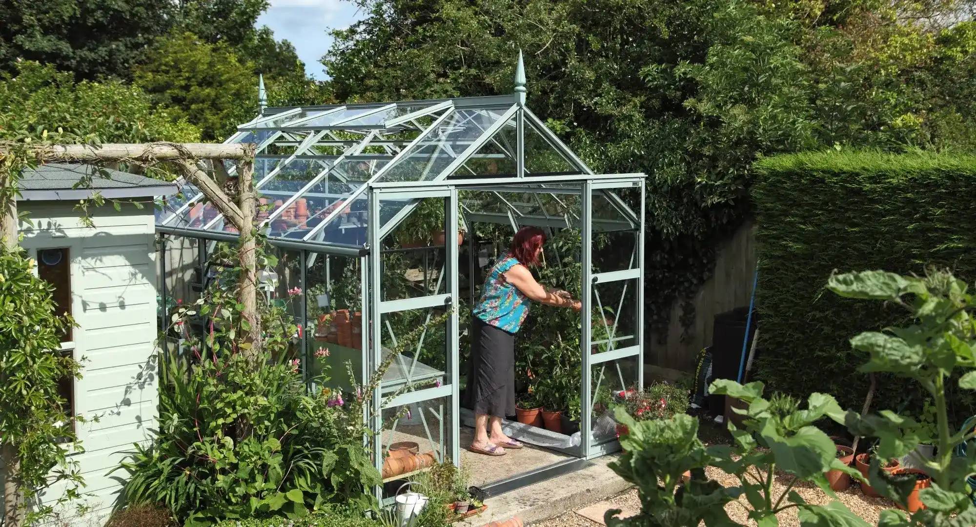 8x10 Greenhouses For Sale Rhino Greenhouses Direct