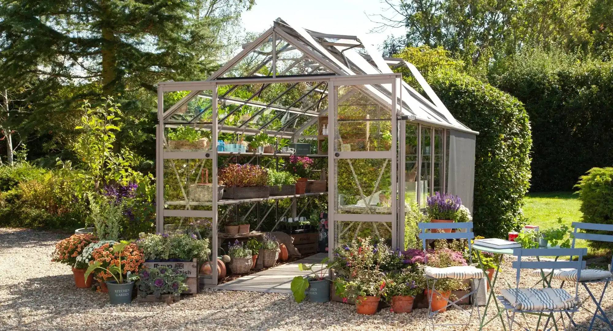 8x12 Greenhouses For Sale Rhino Greenhouses Direct
