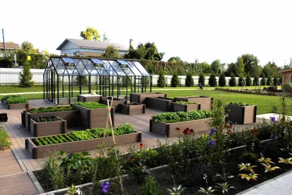 Titan greenhouse behind a series of raised beds