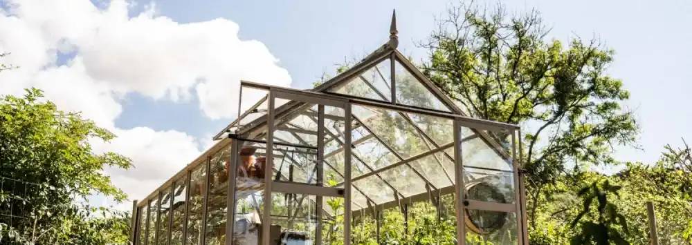 Rhino Greenhouse in front of tall trees and blue sky