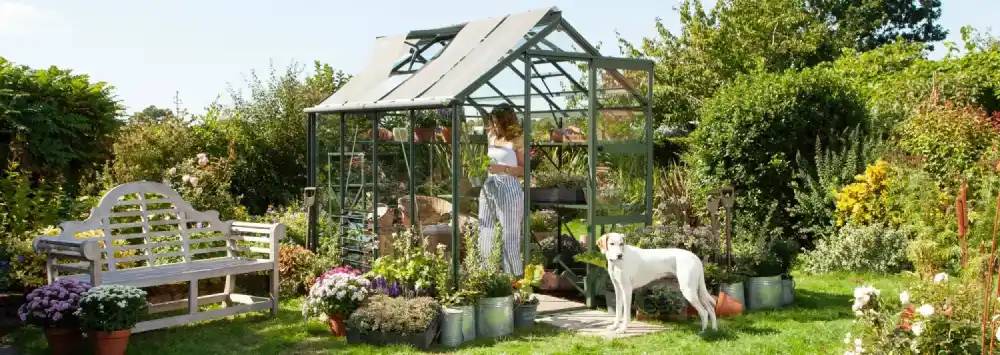 6x10 Rhino Premium greenhouse