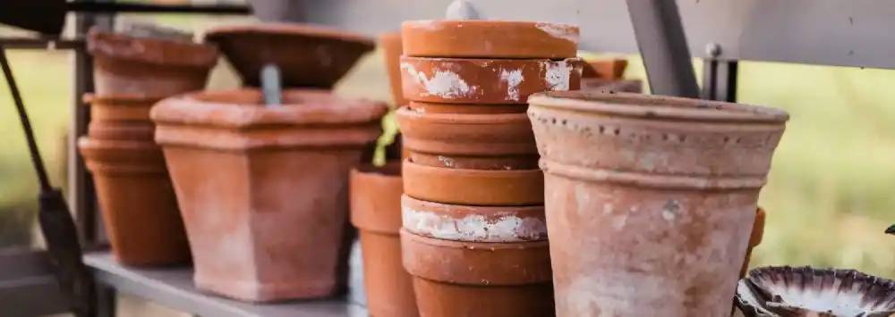 Selection of pots on a slatted shelf