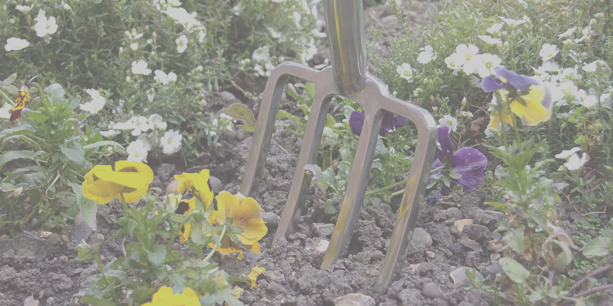 Gardening & Landscape Tools - Forks