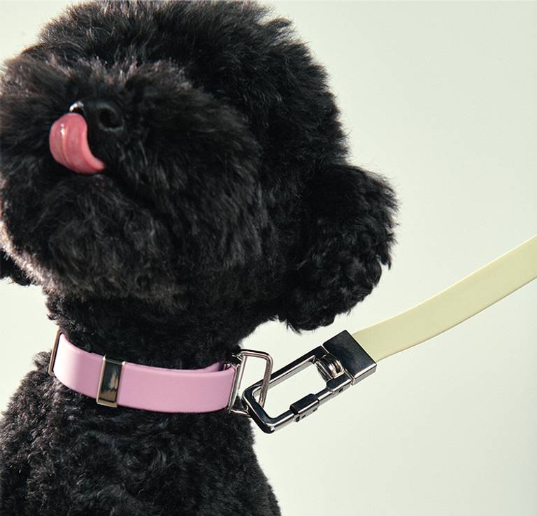 Personalised Dog Collars & Leads with Afterpay