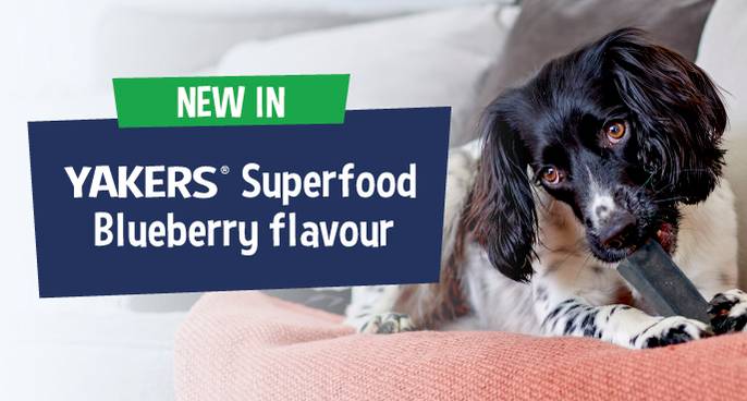 Natural Dog Treats
