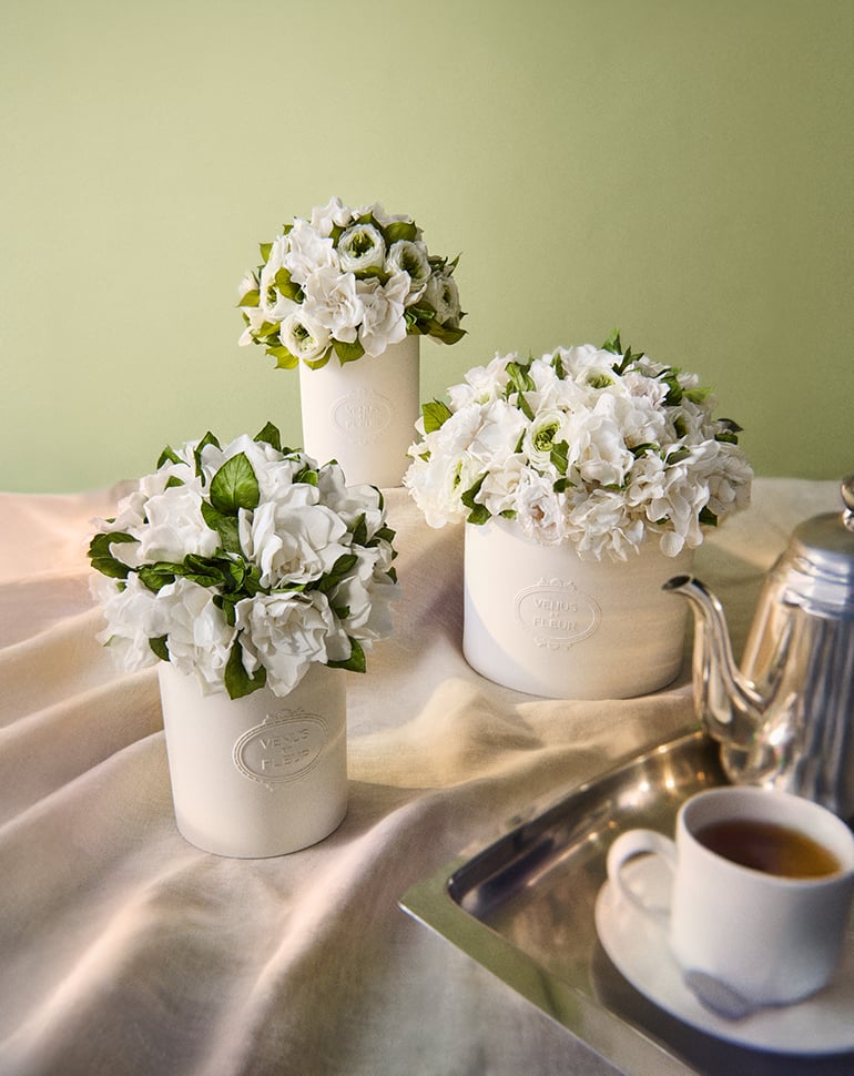 Eternity Flowers: Real Flowers that Last a Year | Venus et Fleur