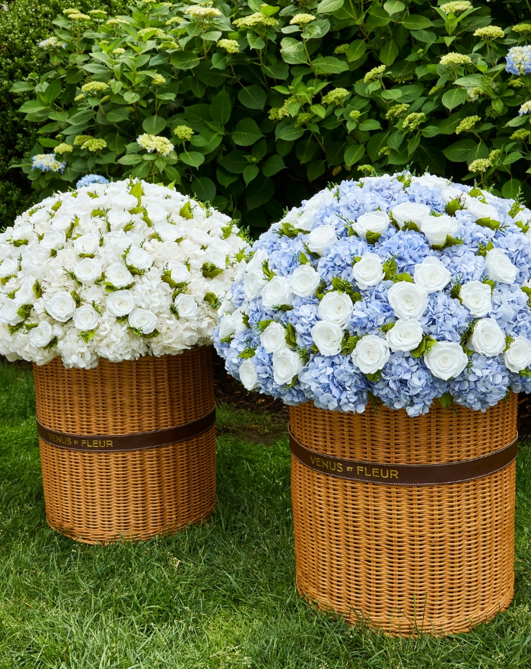 Eternity Flowers: Real Flowers that Last a Year | Venus et Fleur