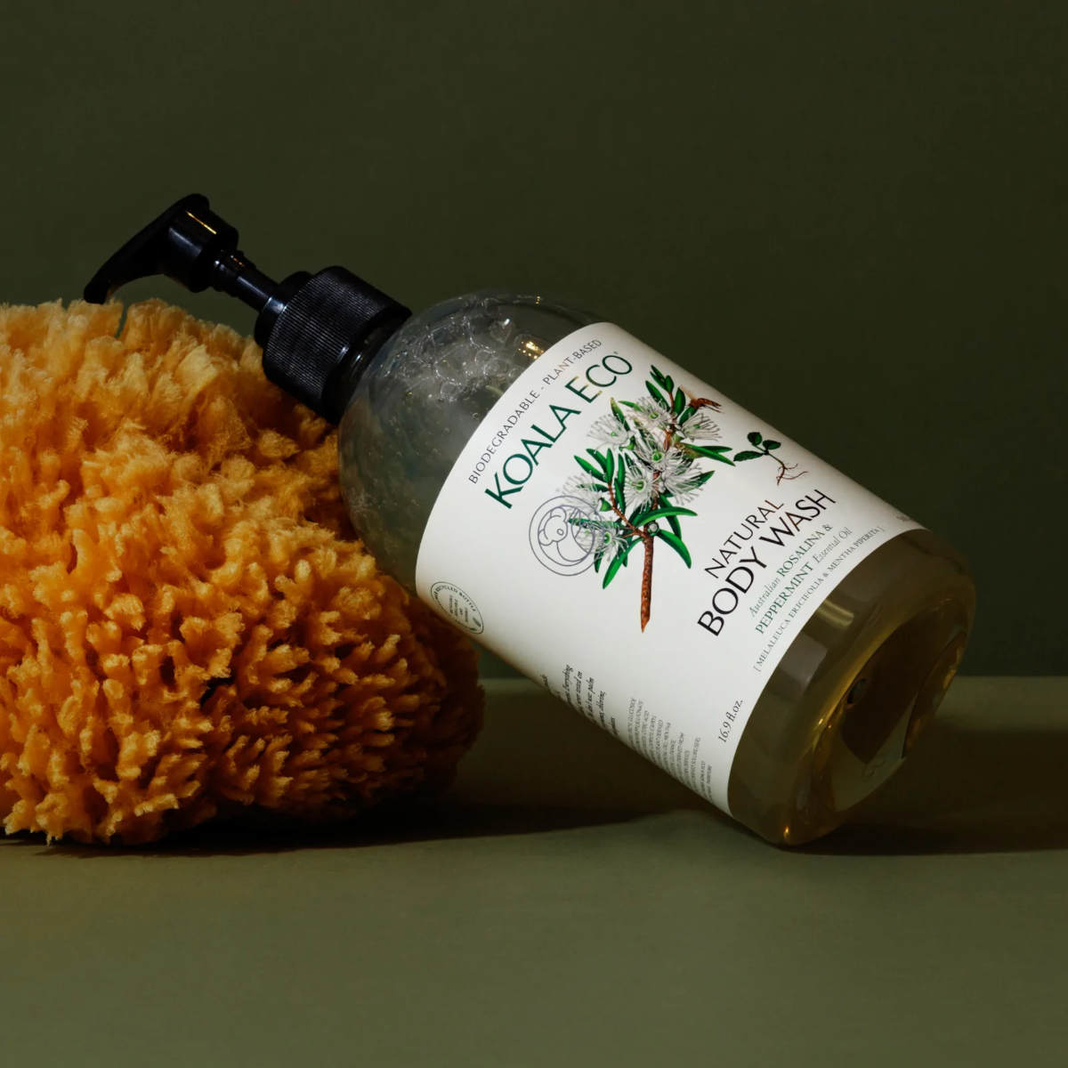 Eco-friendly & Non-toxic