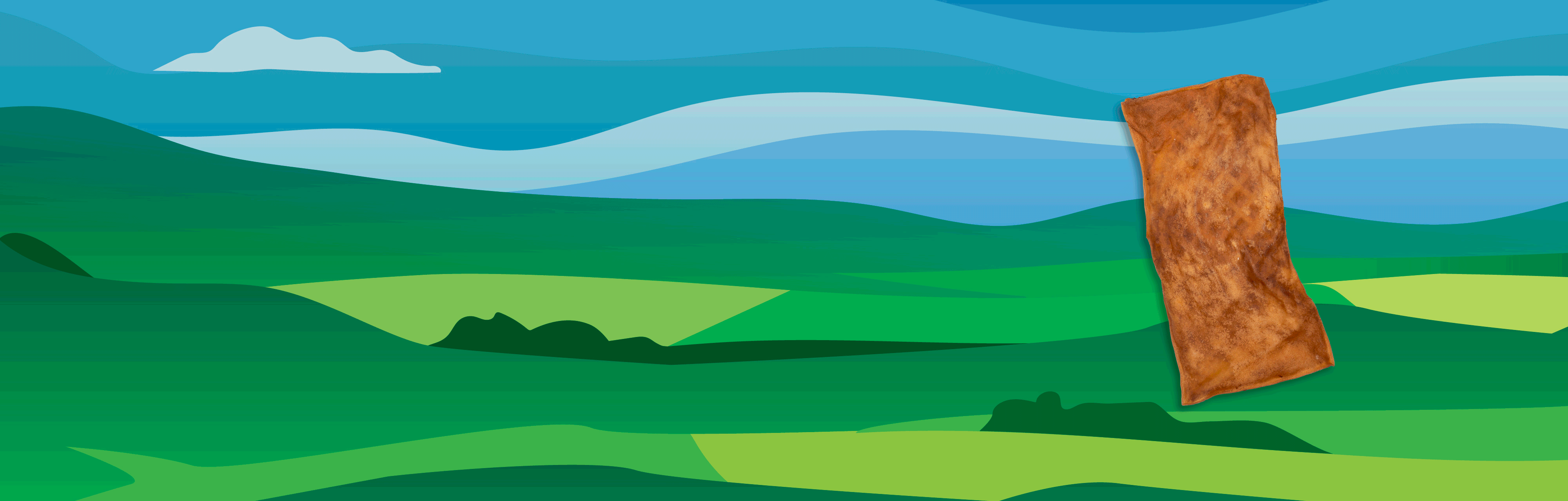 Ethical and sustainable, healthy dog treats OPEN PADDOCK™