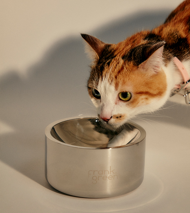 Stainless Steel Pet Bowls frank green Australia
