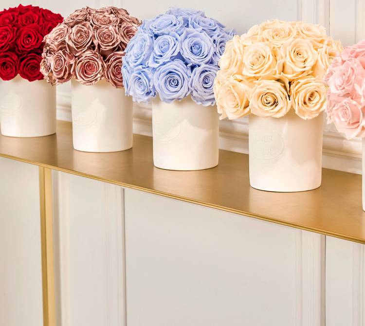 Dome White Roses Luxury Dome Roses & Centerpiece Arrangements - Venus et Fleur