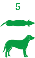 Wild Kangaroo Mince for Adult Dogs