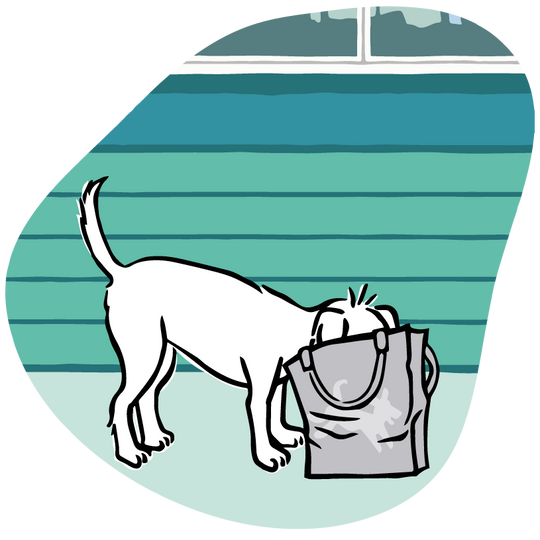 Barking Bargains Save up to 50 off Barking Heads & Meowing Heads Dog & Cat food