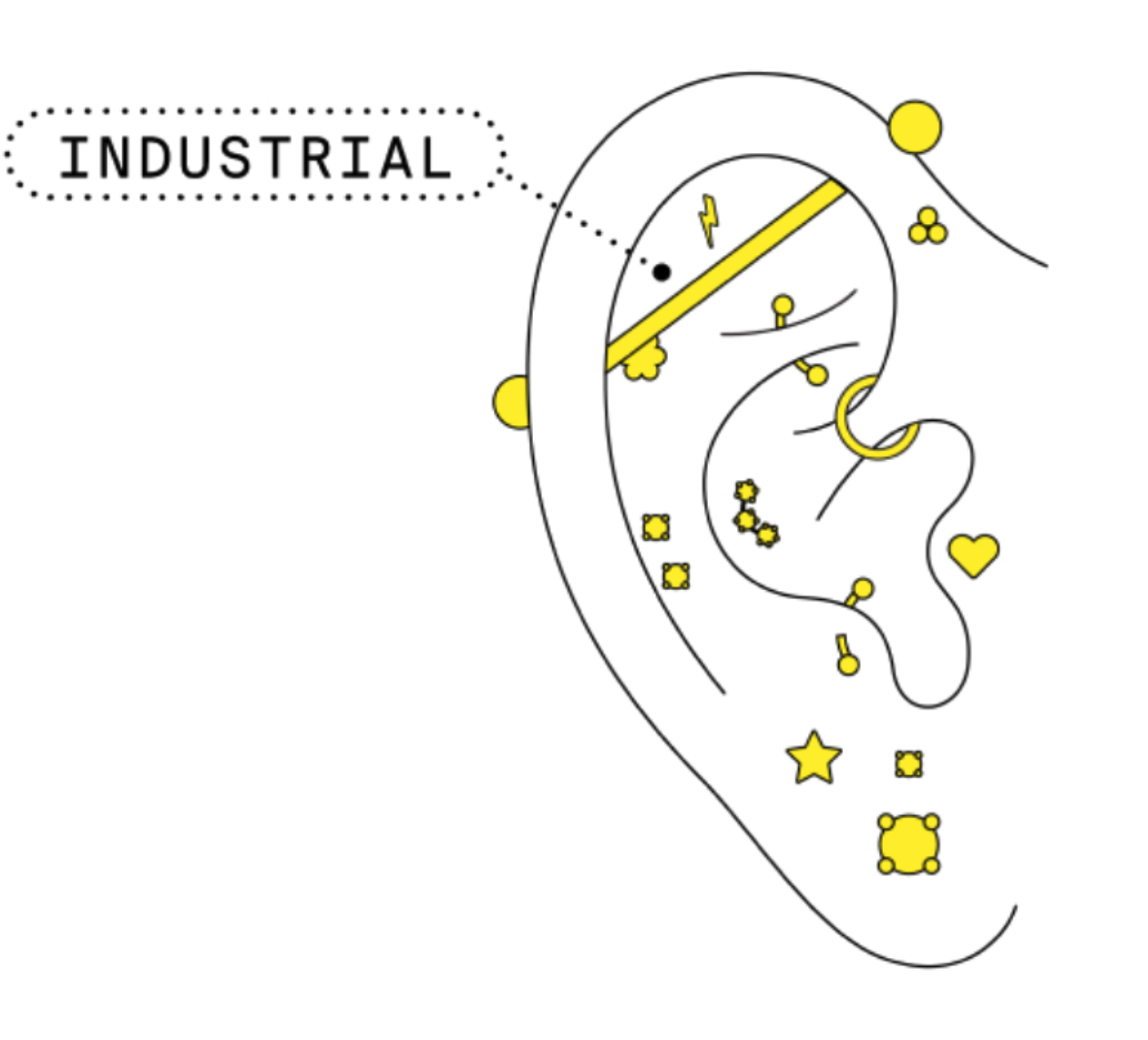 Studs ear diagram showing the industrial piercing placement