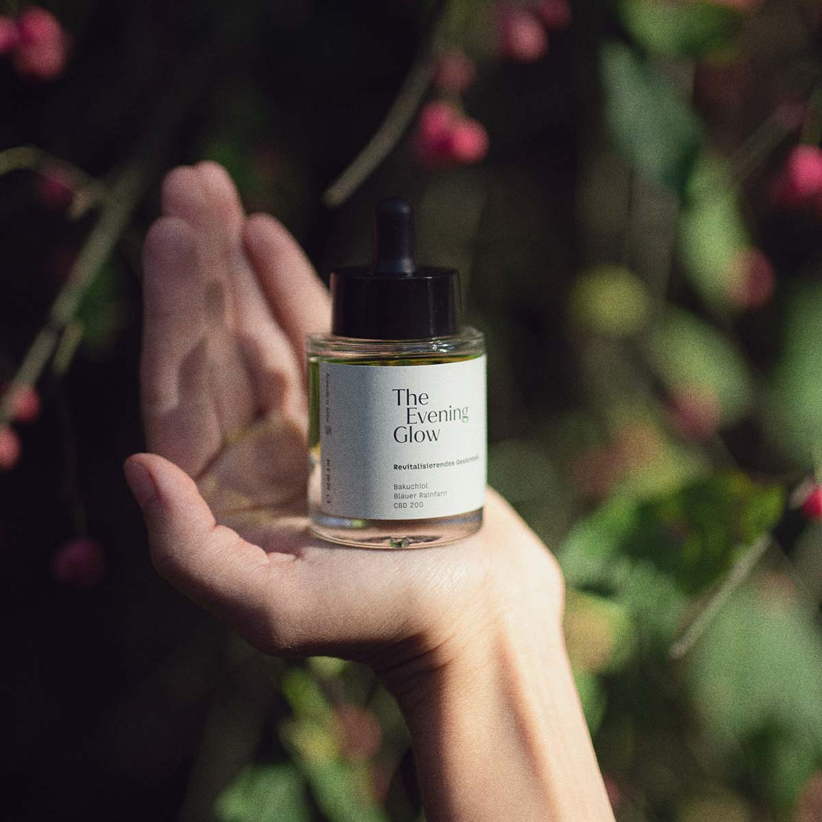 CBD Produkte Online kaufen