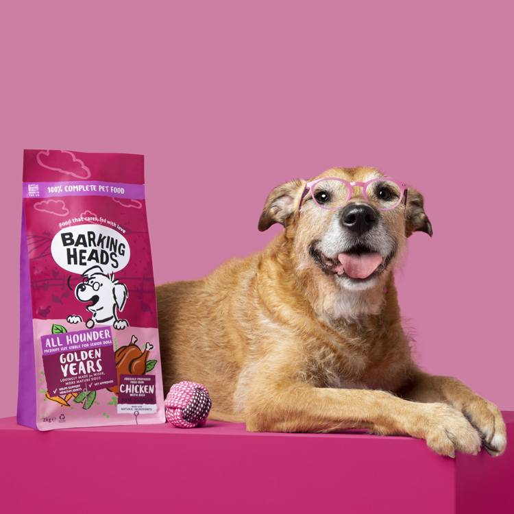 Senior Dog Age Related Barking Solutions preview