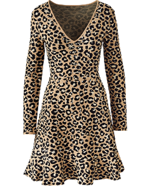 animal print long sleeve dress