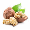 organic walnuts