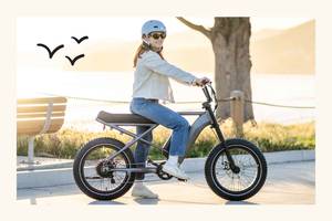 Ebikes for Sale