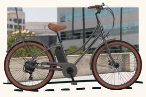 Ananda Complete E-System Electric Bikes