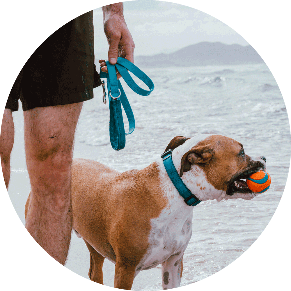 Funston Summer Essentials