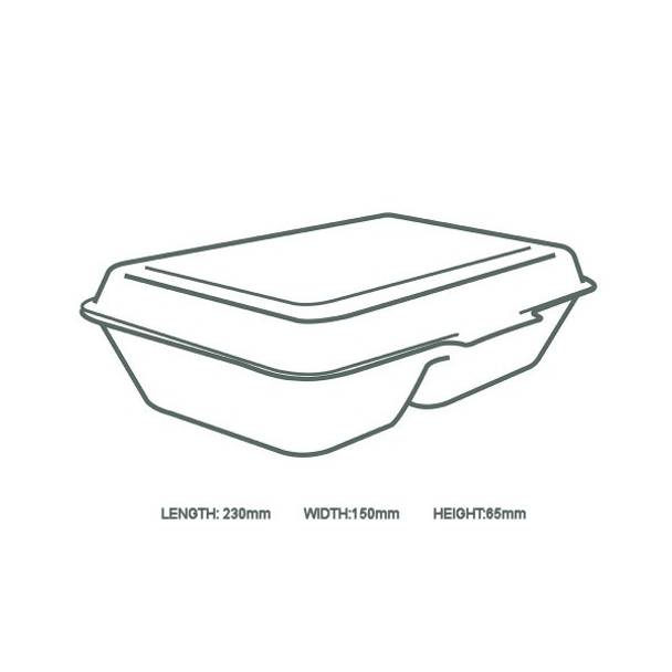 Snack Clam Large 9 x 6" (2 sections) White - Sugarcane