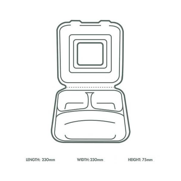 Dinner Clam Regular 9x9" (3 sections) White - Sugarcane