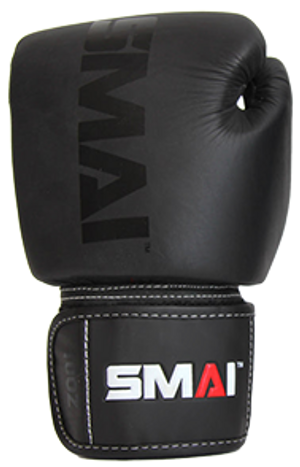 Elite85 Boxing Gloves