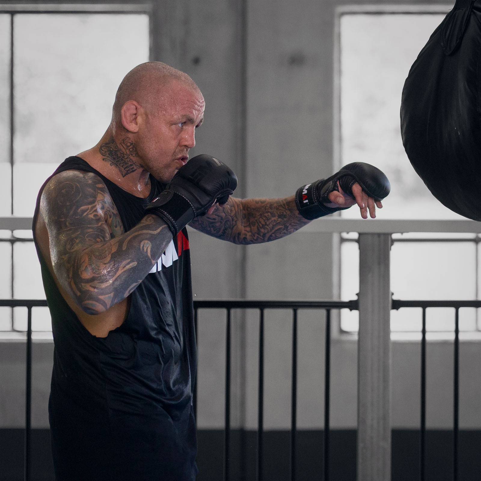 Best hybrid mma gloves on sale