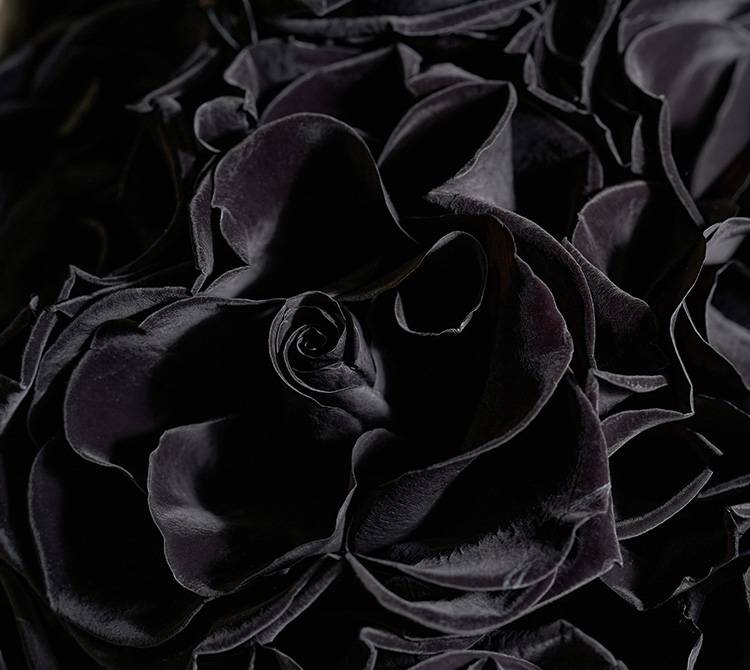 I LOVE U, Black Box. by Blue House Flowers
