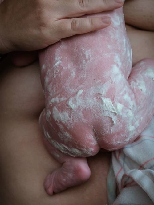 newborn baby