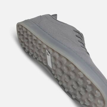 Fog / 5.5