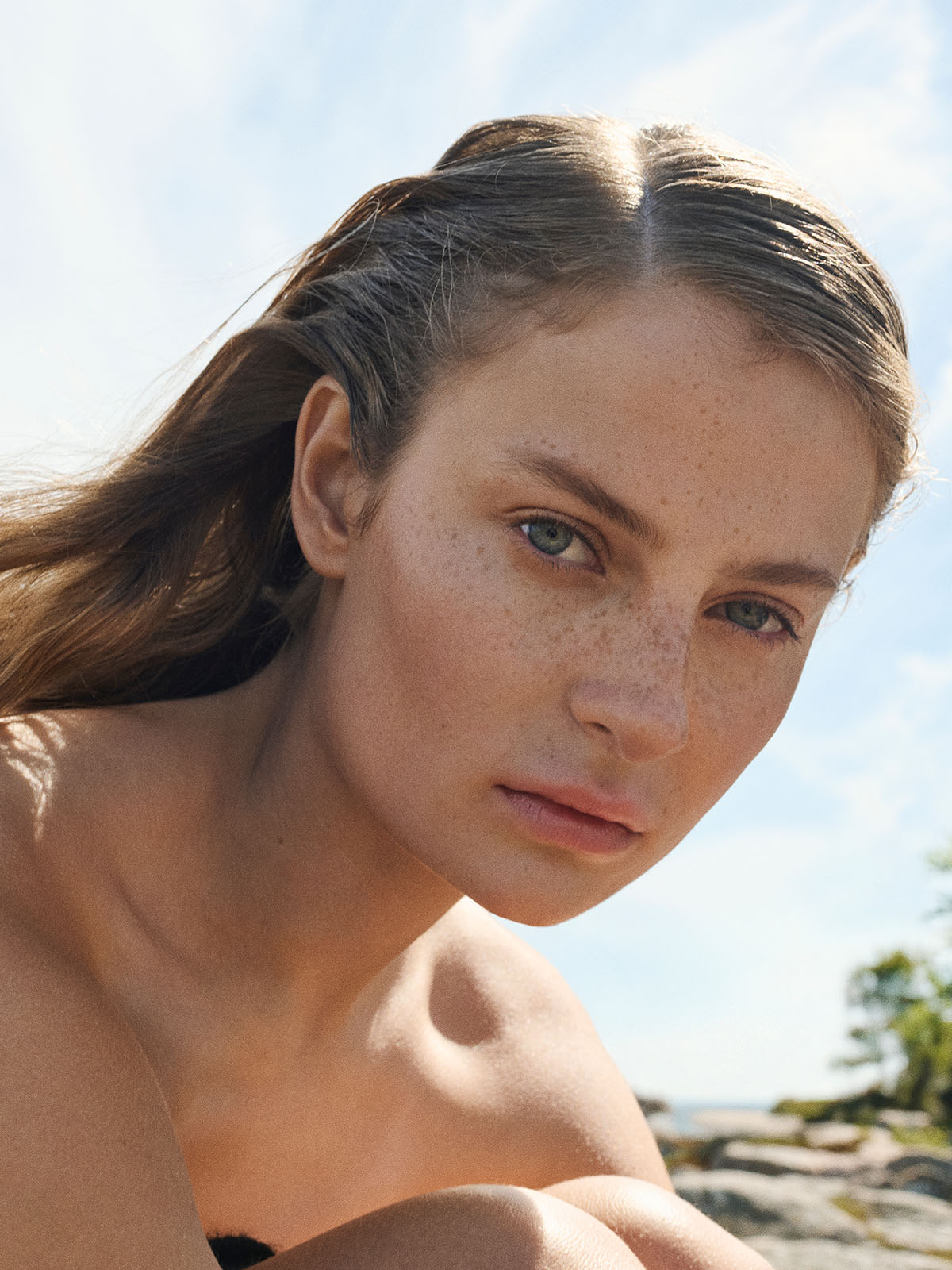 Brow Fix