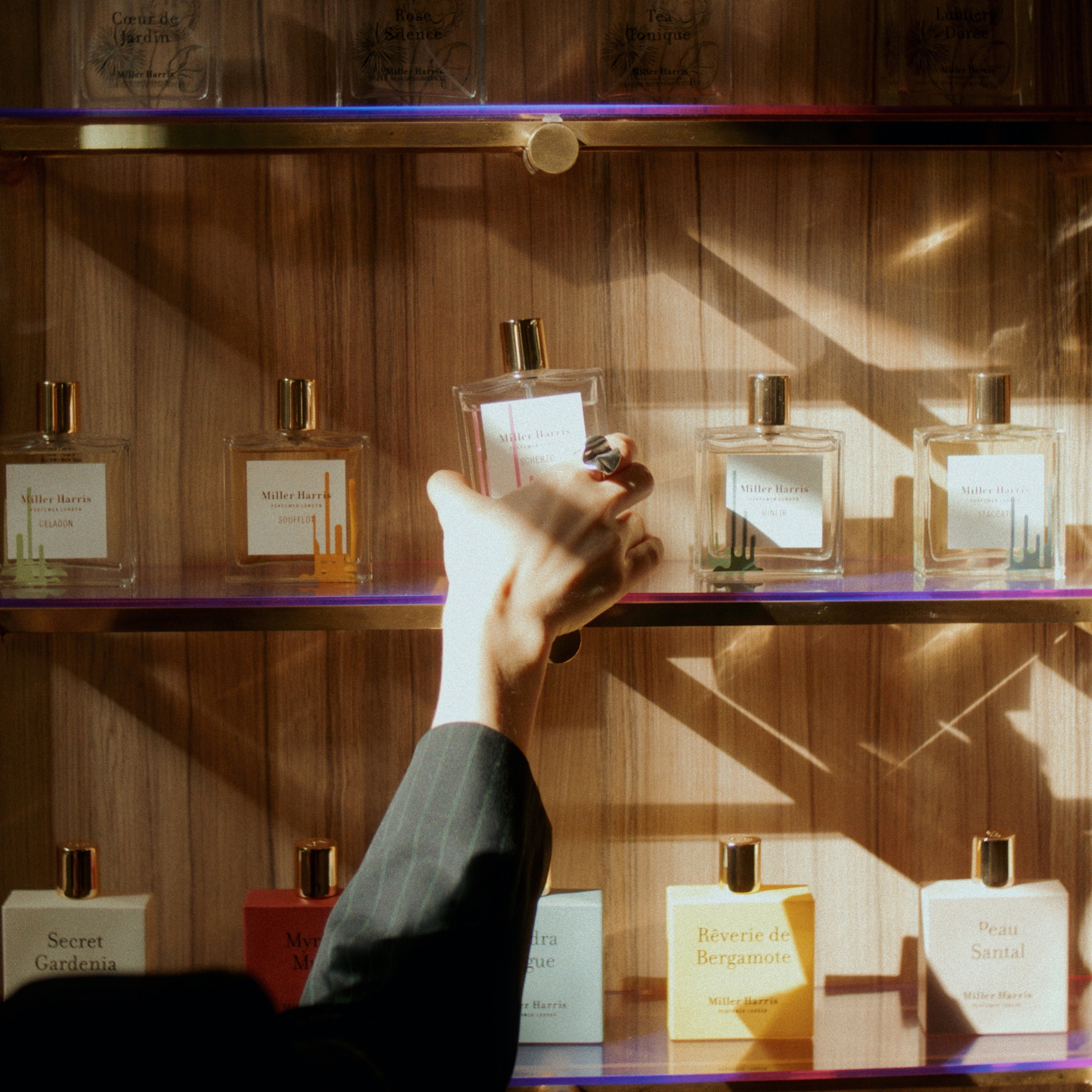 Explore Our Fragrance Collection | Miller Harris – Miller Harris US