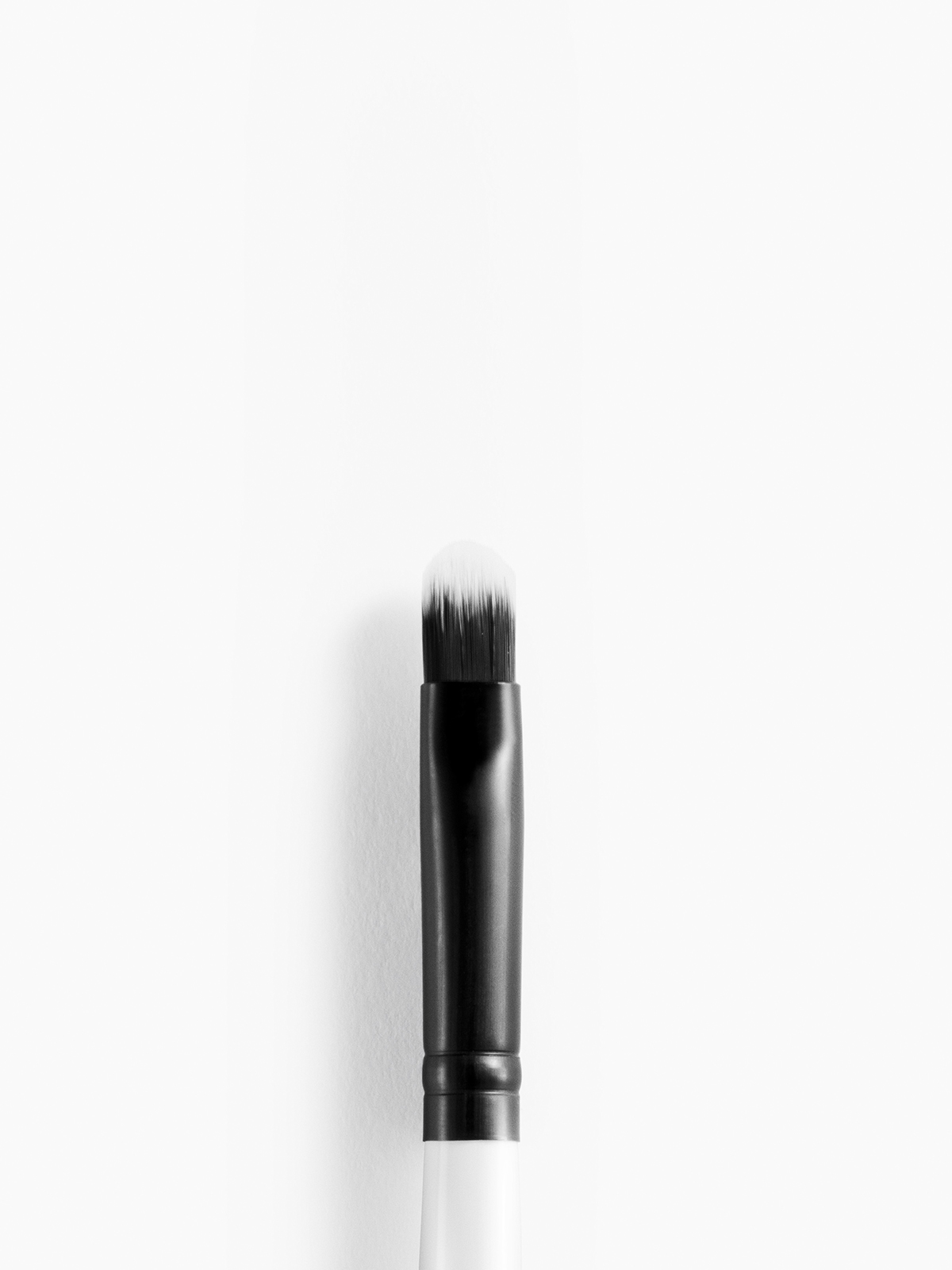 Vegan Brush #2