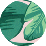 Banana Leaf