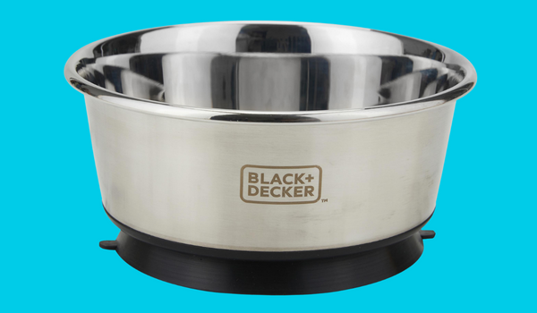 stainless steel pet bowl on blue background