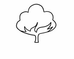 Organic cotton & dyes - planet and skin-friendly
