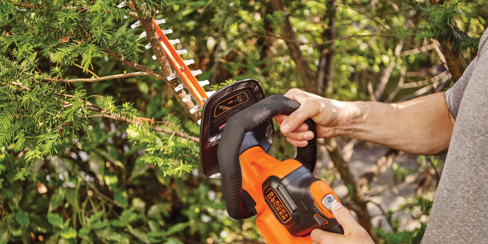 Hedge trimmer being used by man on a small tree