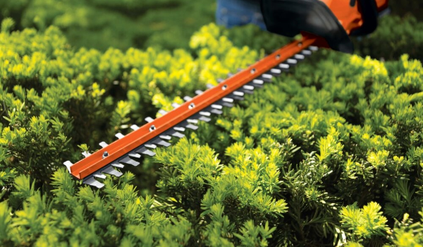 Hedge Trimmer | BLACK+DECKER